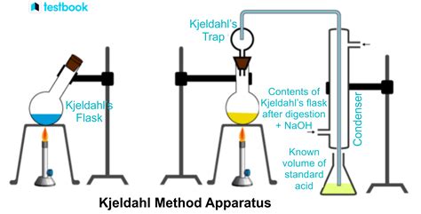 Kjeldahl Apparatus distribute|kjeldahl method diagram.